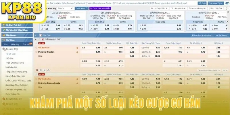 Khám phá một số loại kèo cược cơ bản