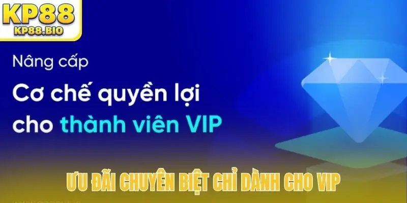 Ưu đãi chuyên biệt chỉ dành cho VIP